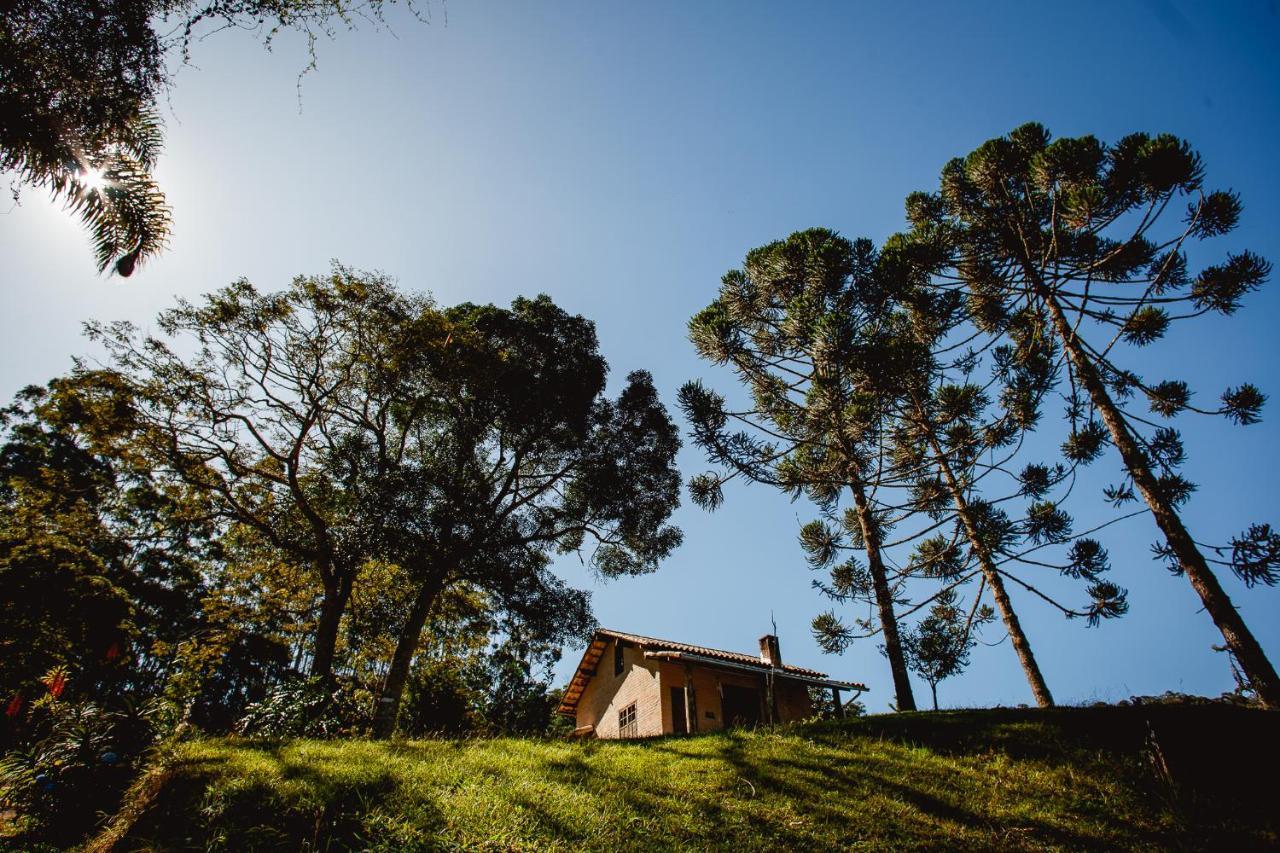 Sitio Das Hortensias Chales Conceição da Ibitipoca Exteriér fotografie